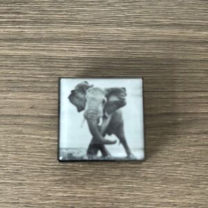 Chantecaille Luminescent Eye 2.5g/.08oz. Color Elephant-Shimmering taupe gray